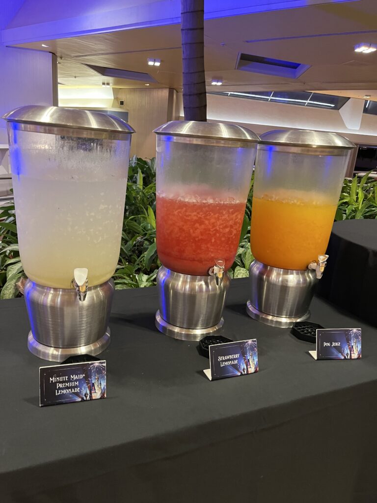 Is the Magic Kingdom Dessert Party worth it? Drink options
