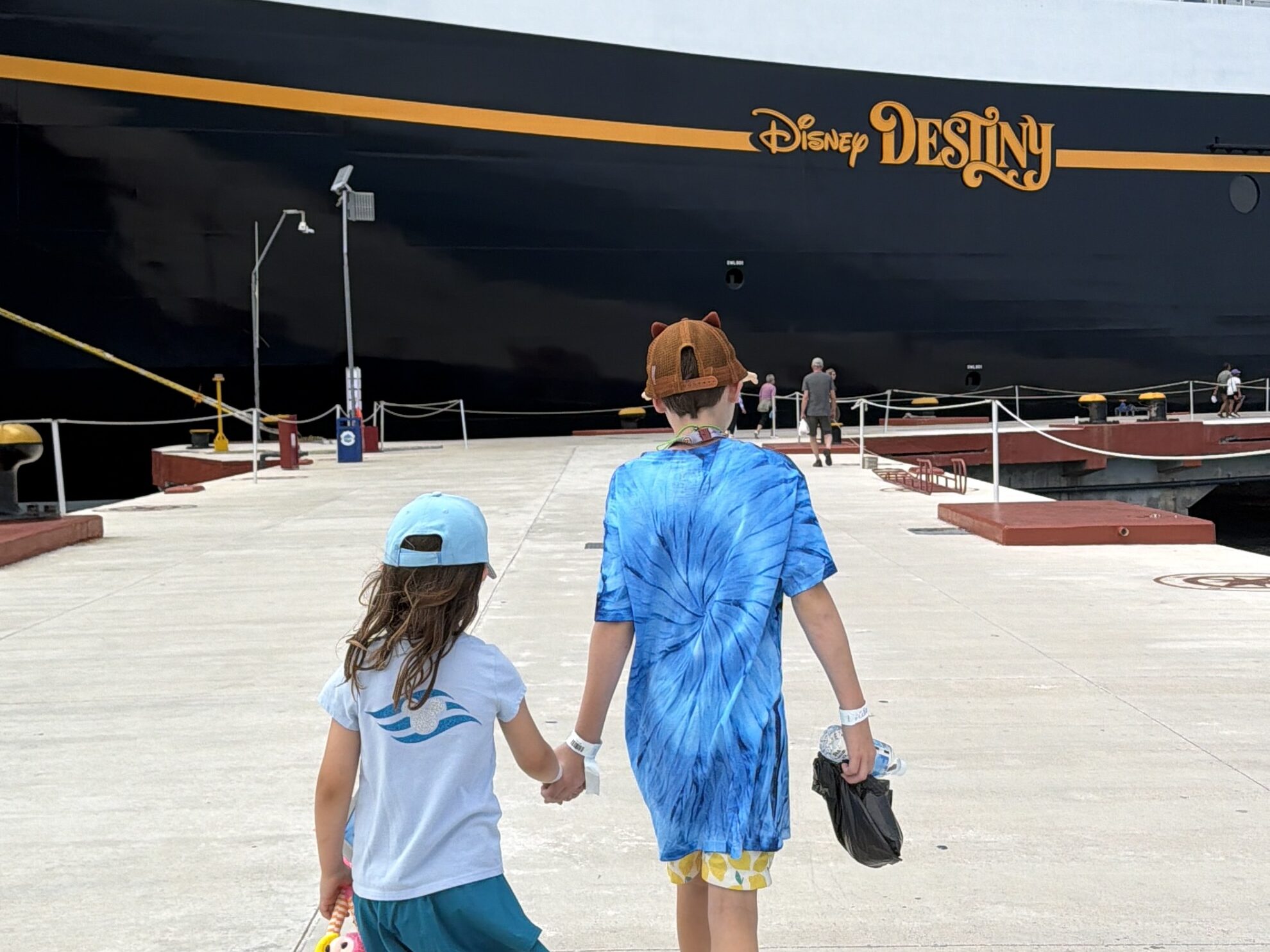 Disney Destiny for Families